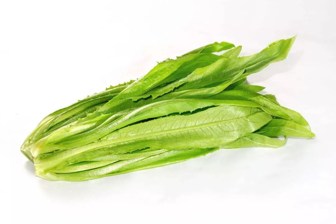 油麥菜