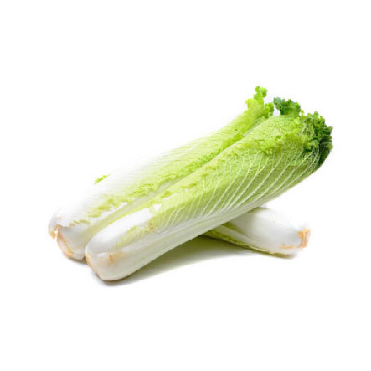 長(zhǎng)白菜