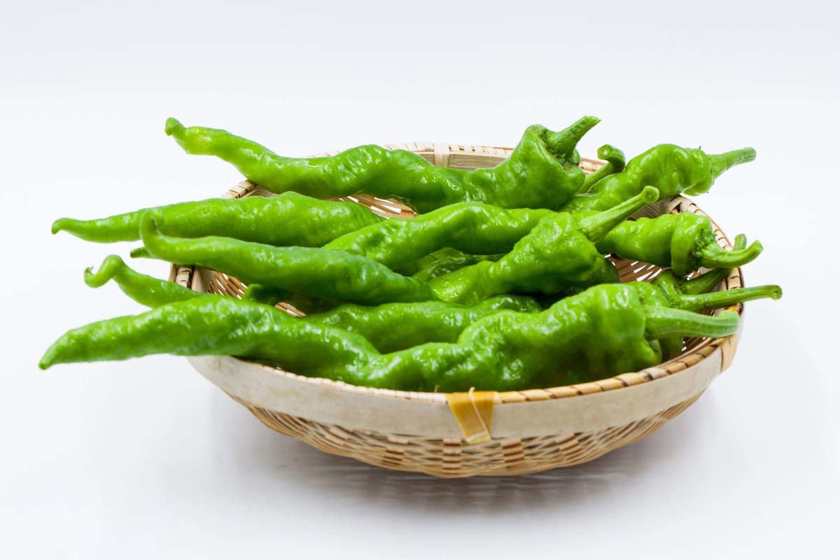 物料與水果蔬菜配送的財(cái)務(wù)洞察