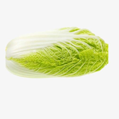 我國穩(wěn)步推進縣鄉(xiāng)村三級養(yǎng)老服務網(wǎng)絡搭建