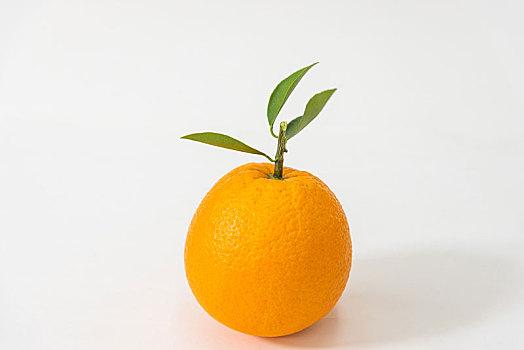 西安新鮮蔬菜配送，品質(zhì)保證
